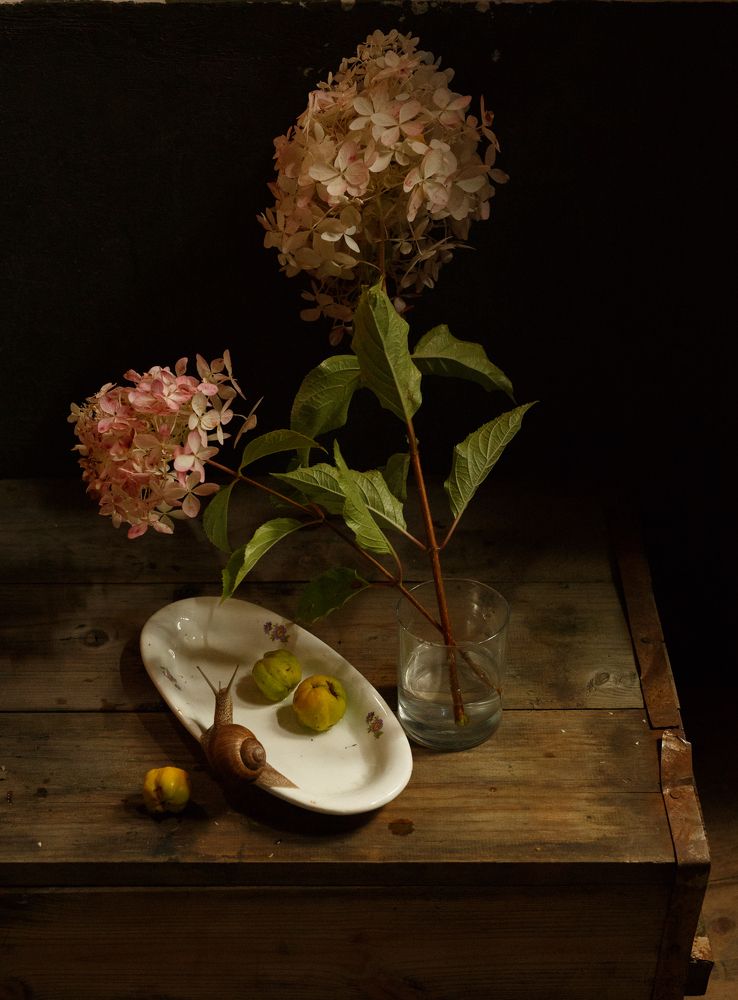 Photograph by Виктория