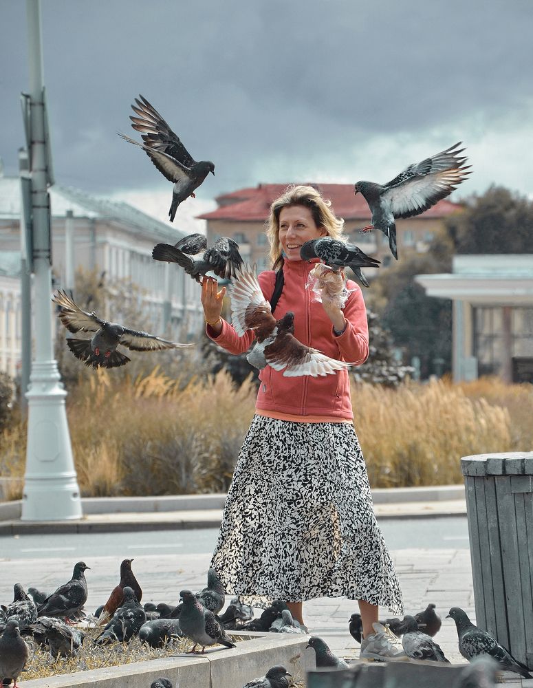 Кормление голубей