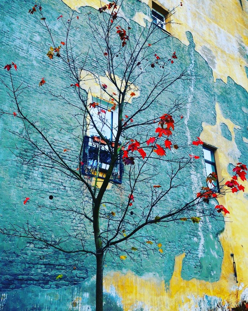 Photograph by Alb Traum