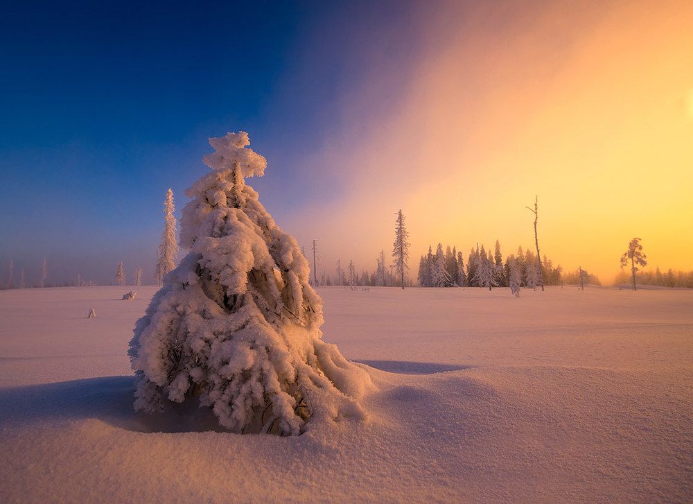 Зимним днем.