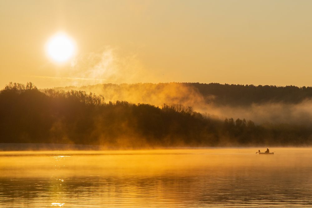 Туманное утро