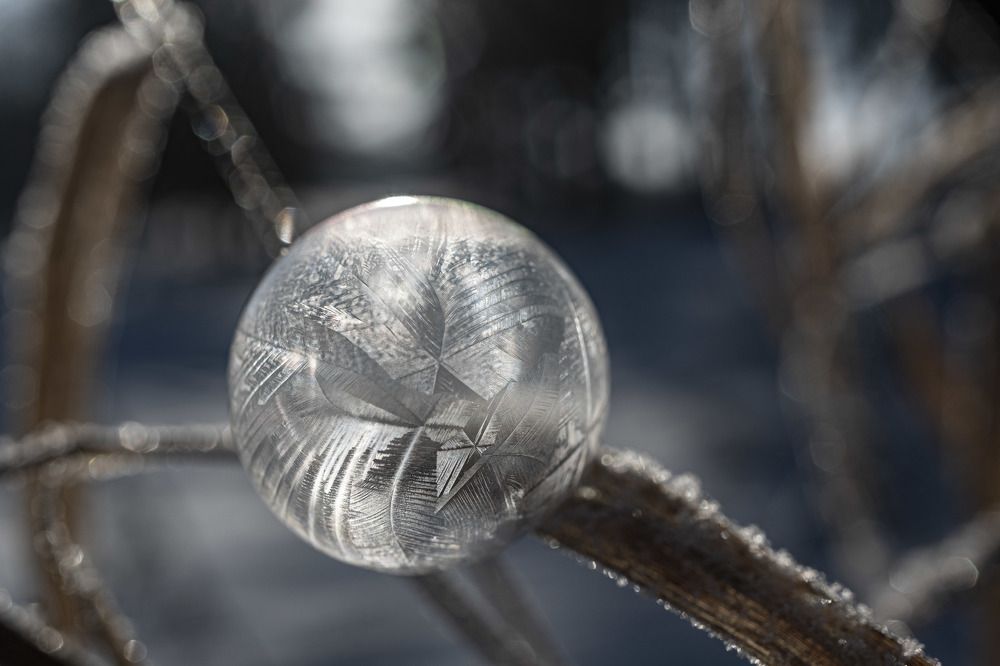 Photograph by Владислав Шигера