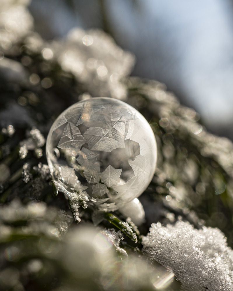 Photograph by Владислав Шигера