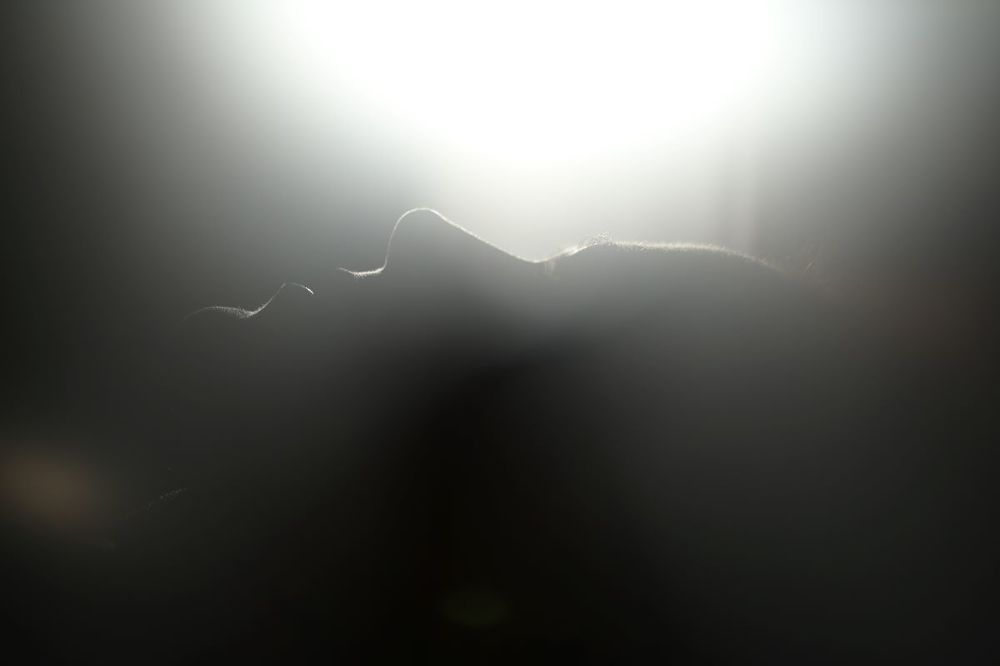 Photograph by Екатерина Гасан