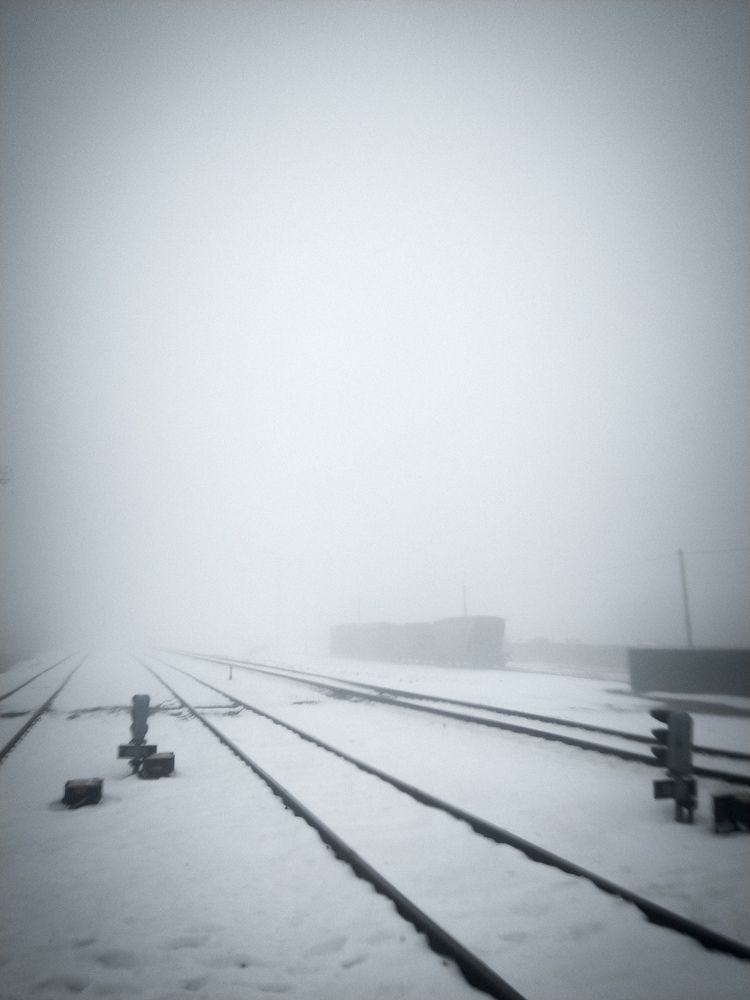 Photo #5686571