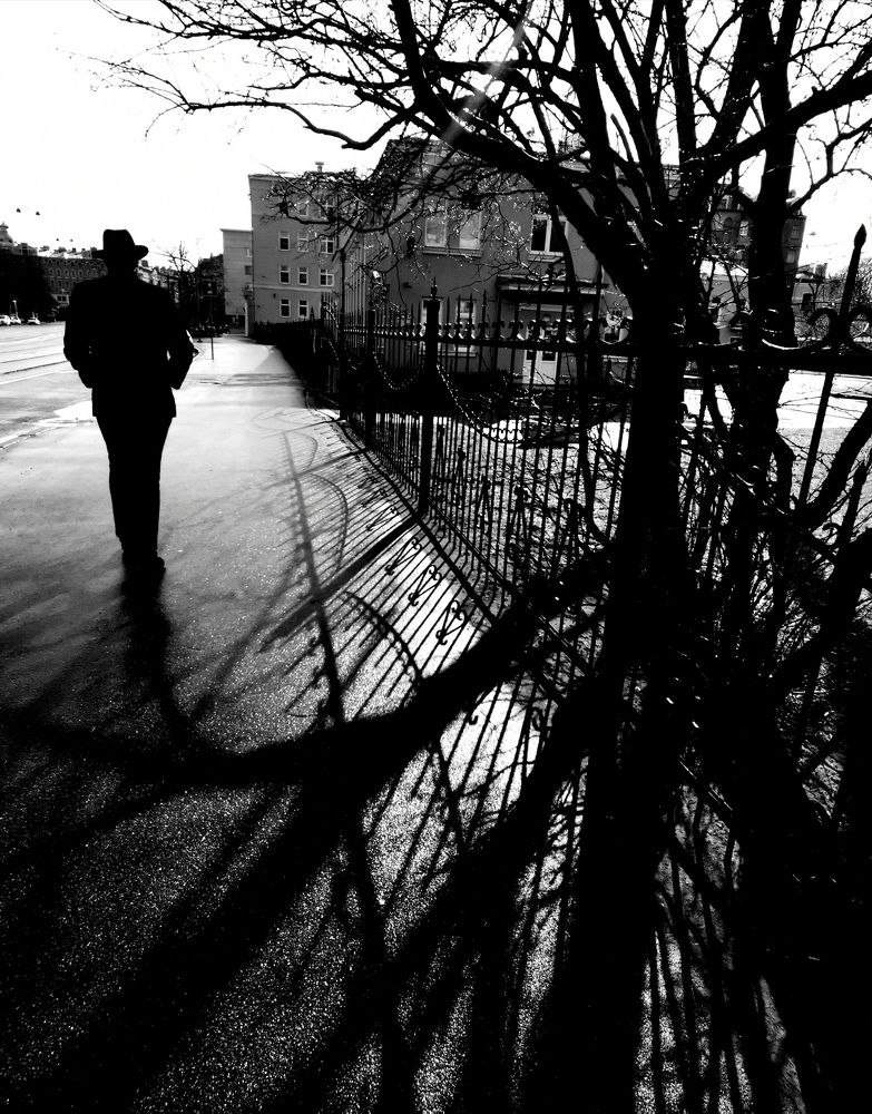 Photograph by Alb Traum