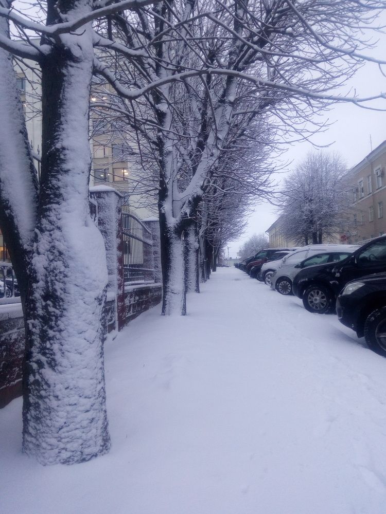 Утро в городе