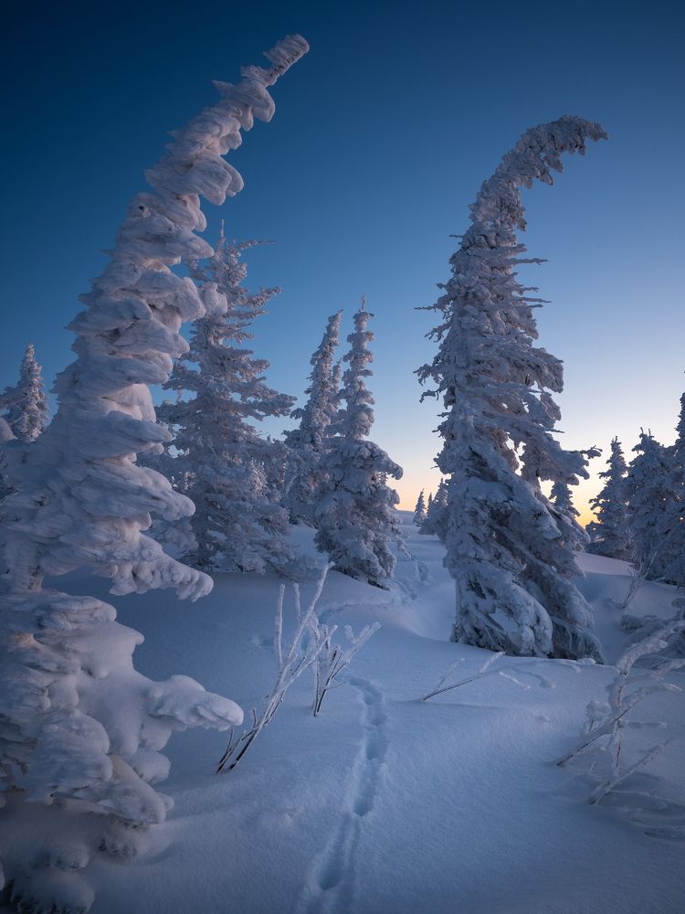 Photograph by Евгений Важенин