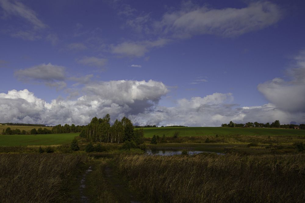 Фотография автора Елена Кошкина