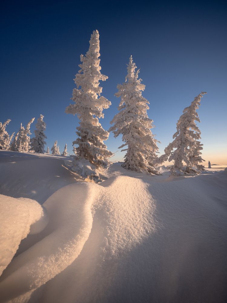 Photograph by Евгений Важенин