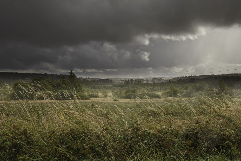 Фотография автора Елена Кошкина