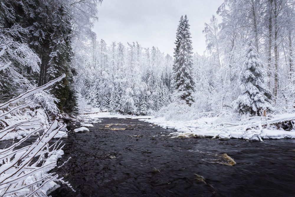 Photograph by Евгений Волосков
