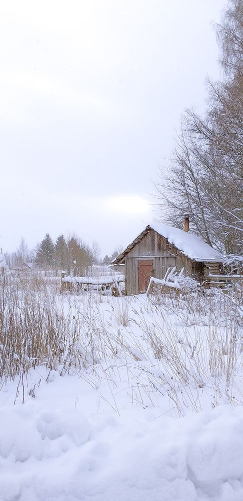 Зима. Взгляд через камеру мобильного телефона