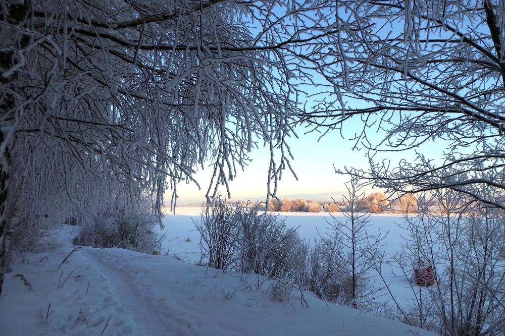 Photograph by Юлия Картушина