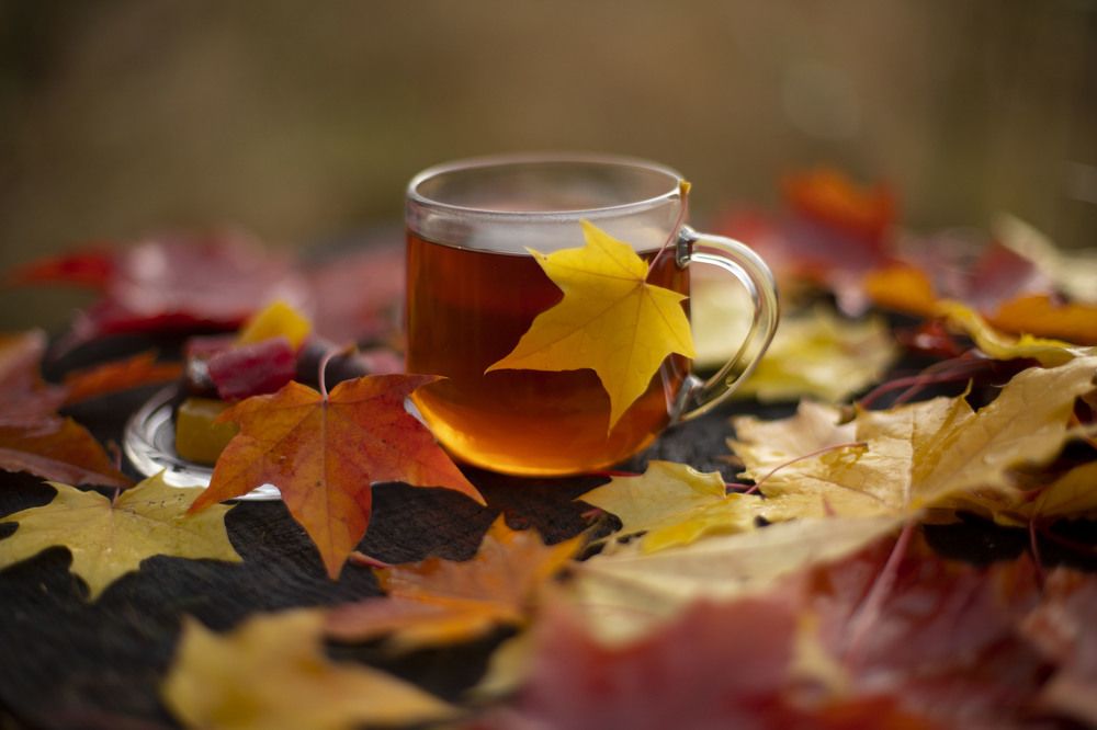 Photograph by Elena Kostochkina