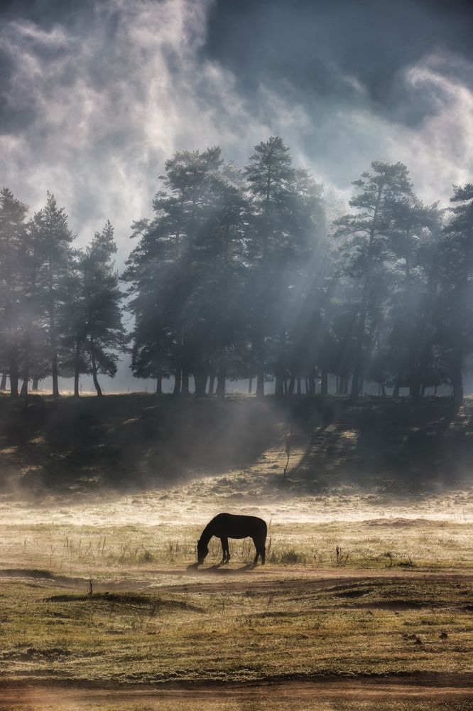 Photograph by Алексей Мараховец