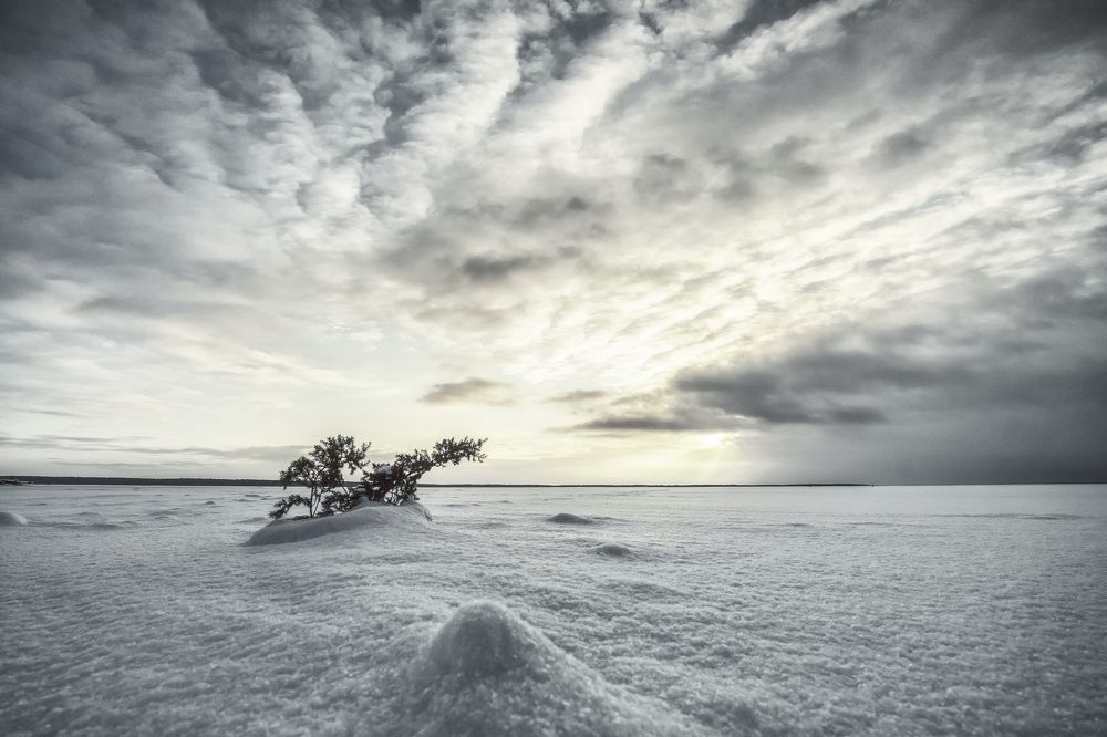 Photograph by Vyacheslav Biryukov