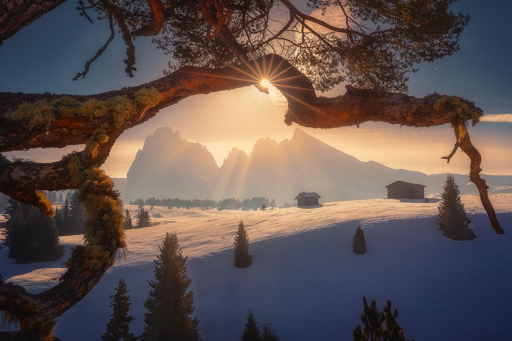 Photograph by Roberto Pavic