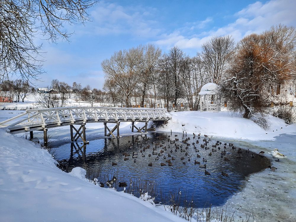 Photograph by Михаил Рассказ