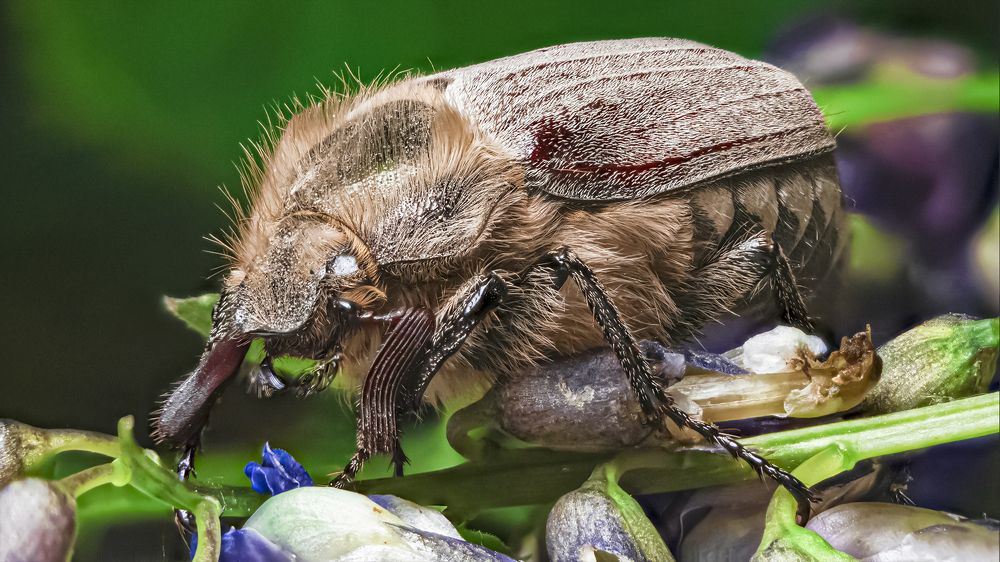 Photograph by Андрей Иванов