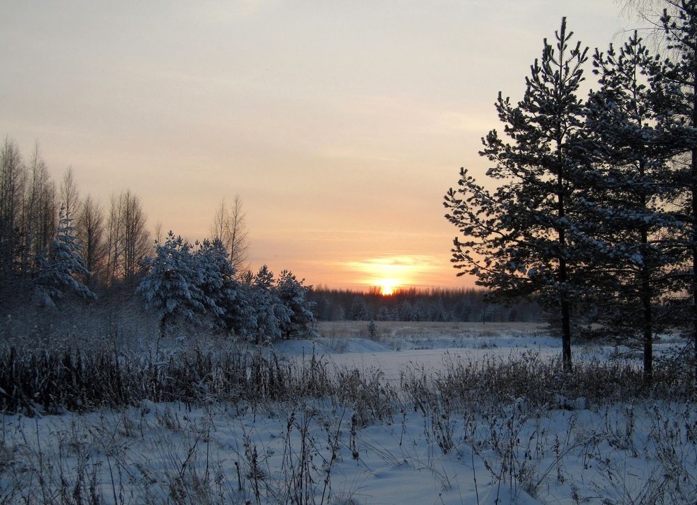 Photograph by Владимир Перминов