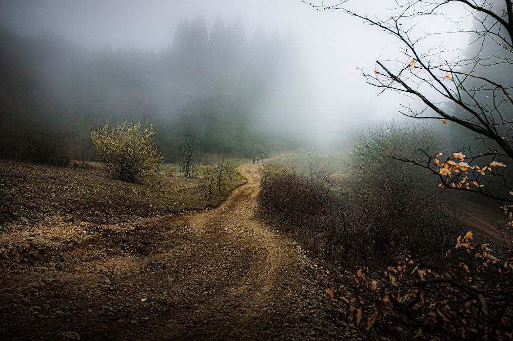 Photograph by Maksim Miroshnichenko