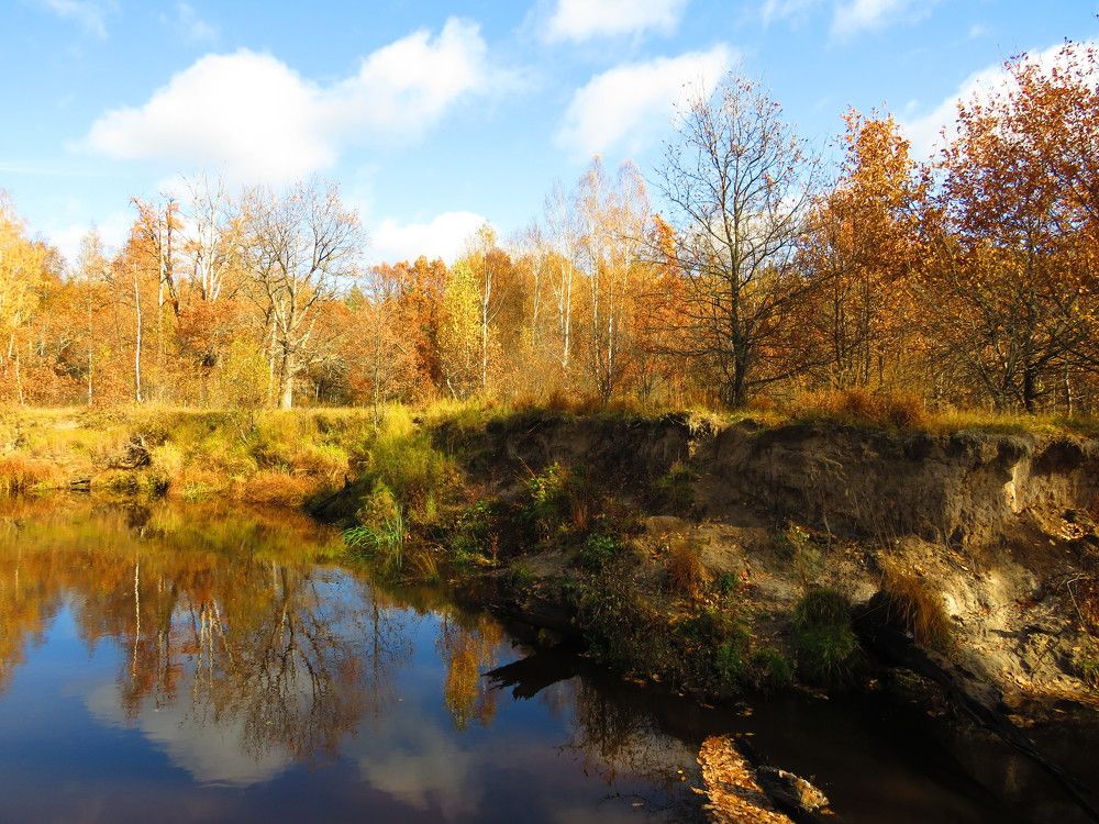 Высокие берега