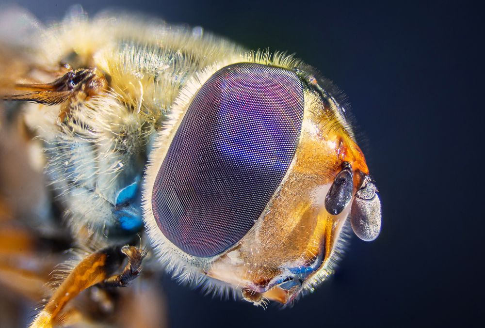 Photograph by Piotr Golebiowski