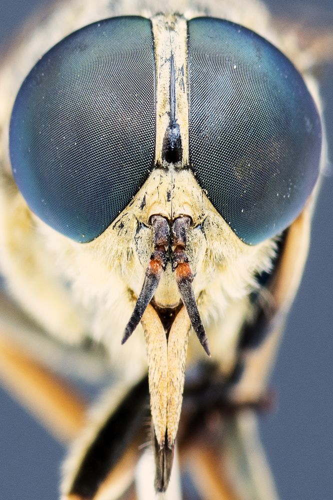 Photograph by Piotr Golebiowski