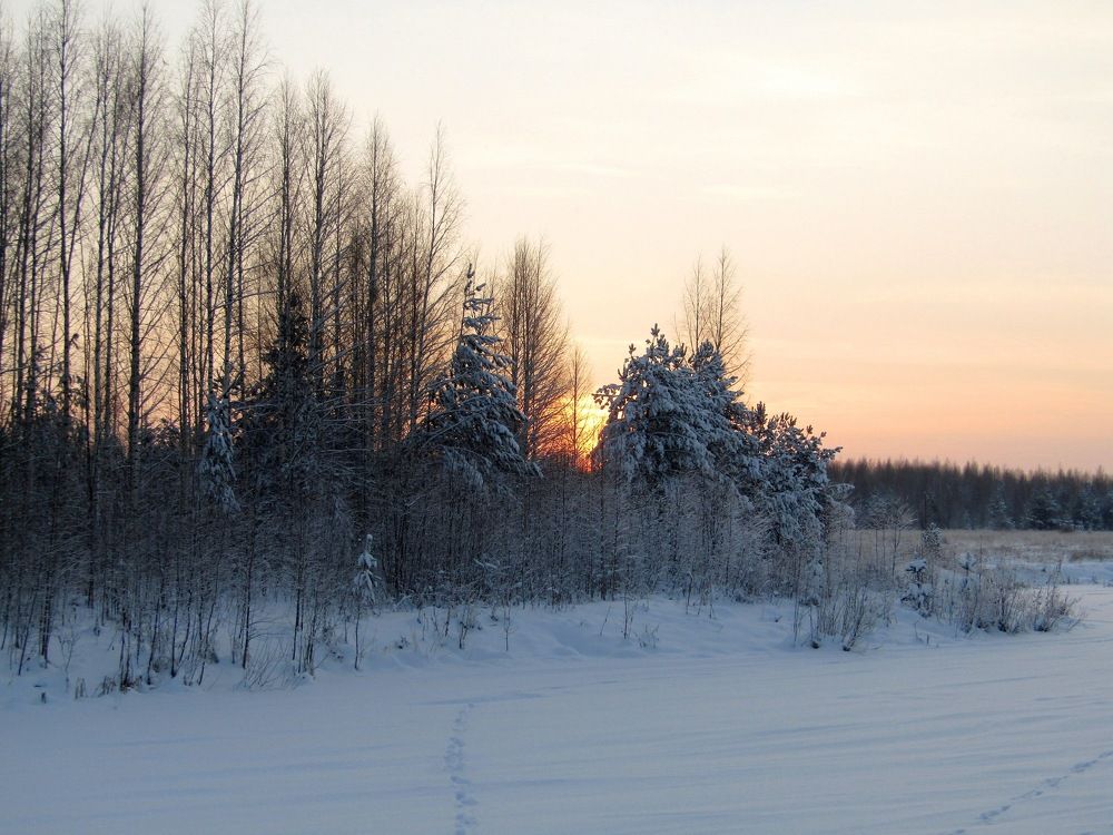Photograph by Владимир Перминов