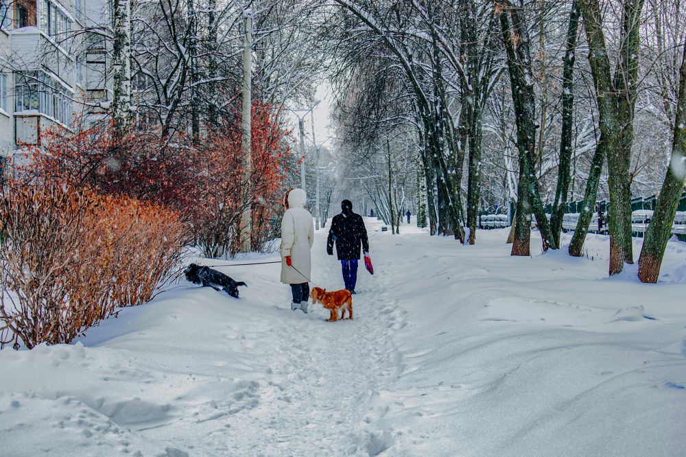 Photograph by Евгений Александрин