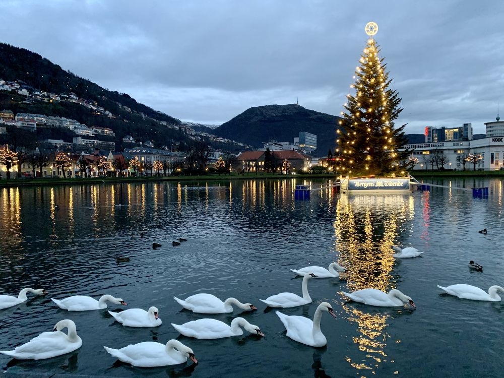 Photograph by Irina Andrienko