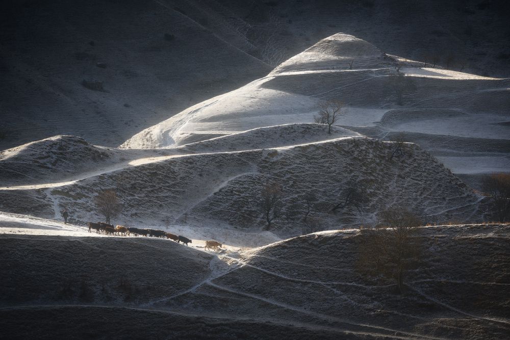 Фотография автора Анатолий Гордиенко