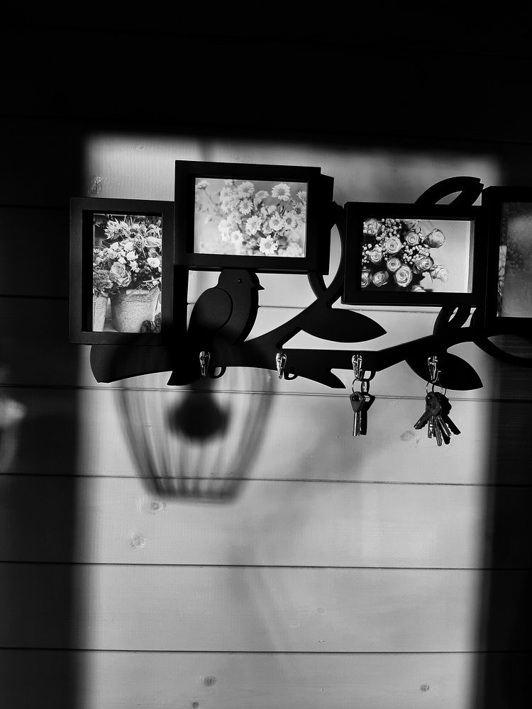 Фотография автора Ольга Никанович