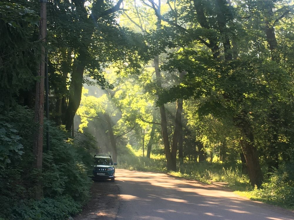 Photograph by Анна Чеснокова