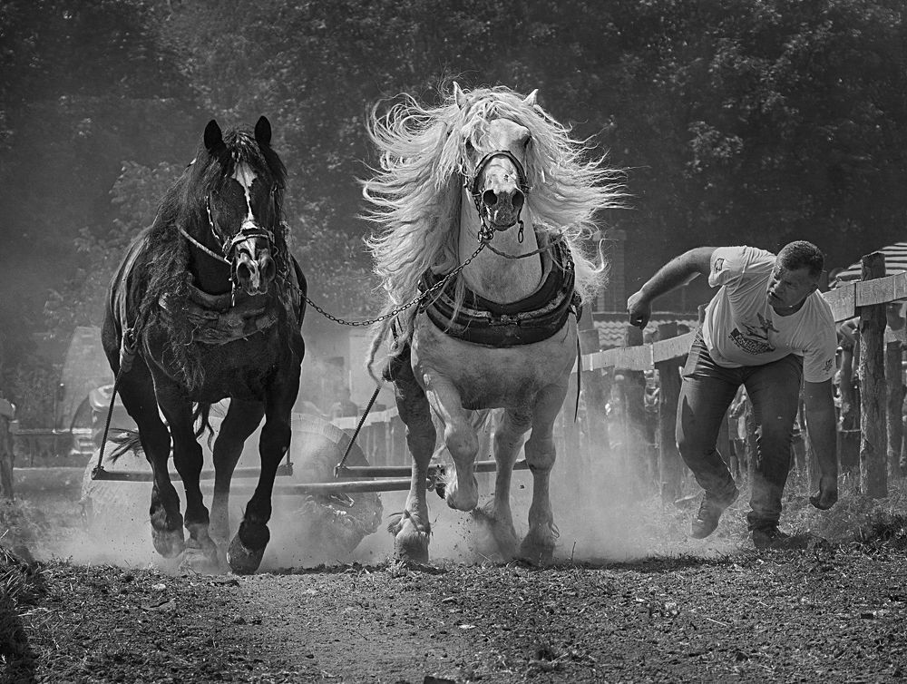 Photograph by Slobodan Cavic