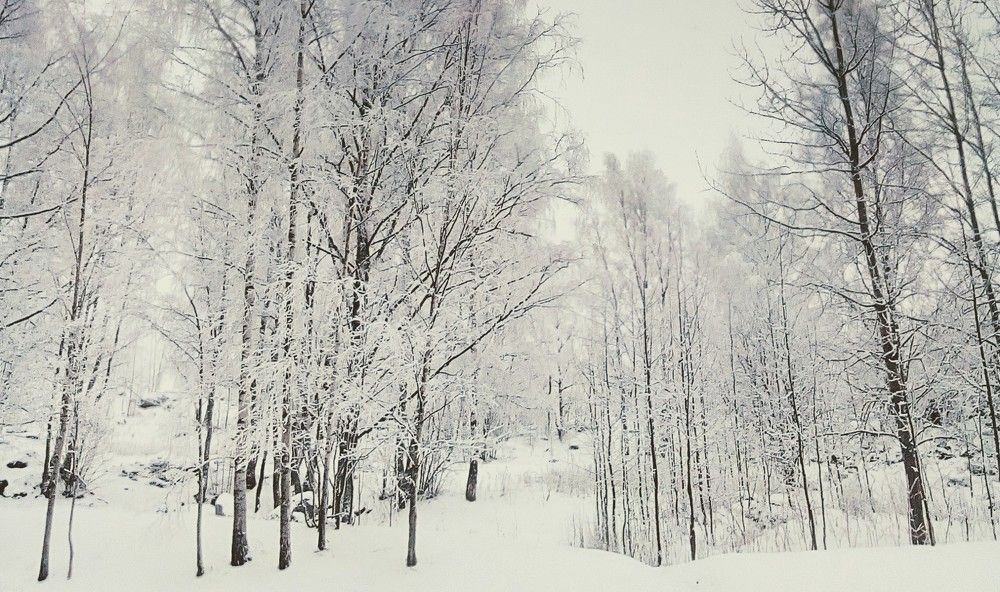 Photograph by Irina Mihailovskaya