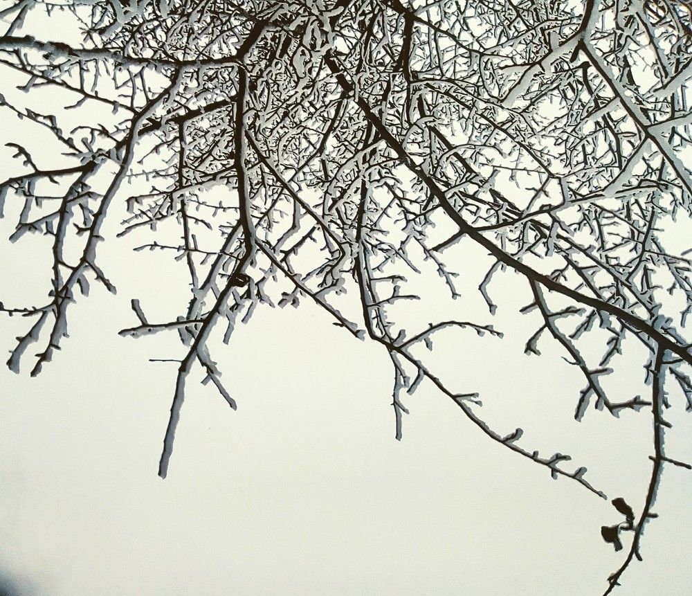 Photograph by Irina Mihailovskaya