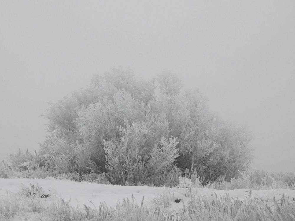 Photograph by Сергей Чеченов