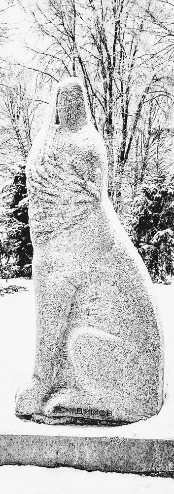 Photograph by Irina Mihailovskaya