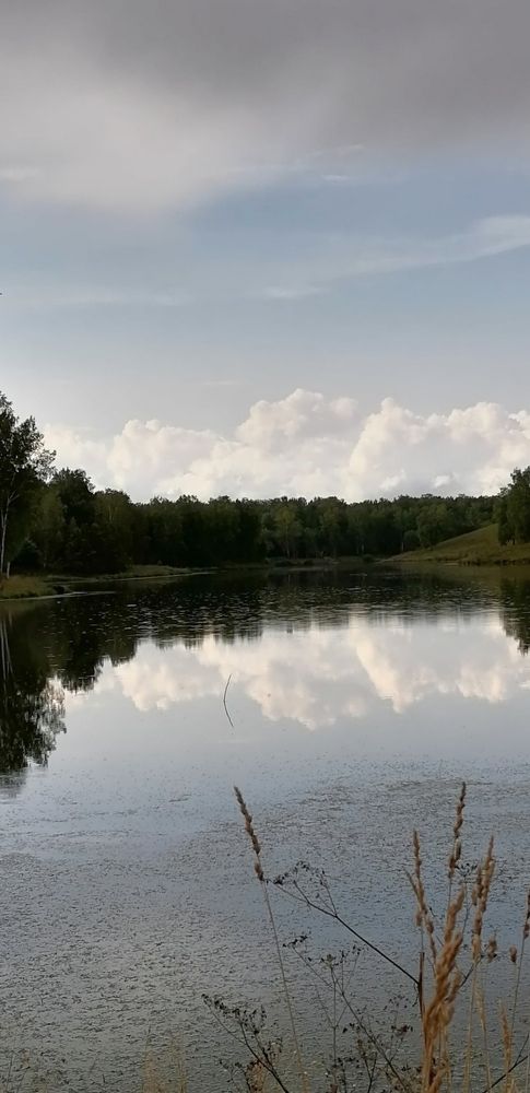 Photograph by Елена Аверьянова