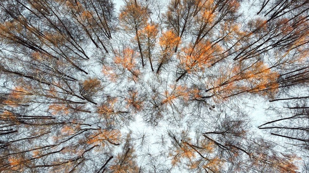 Фотография автора Коротков Алексей