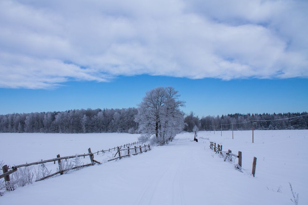 Зимний день
