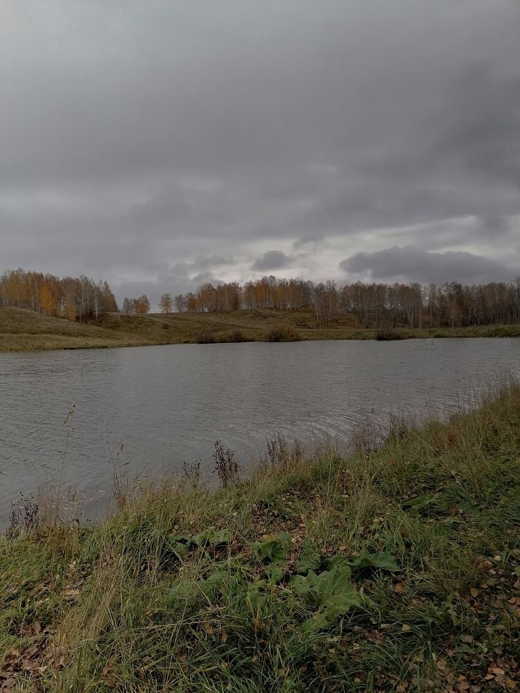 Photograph by Елена Аверьянова