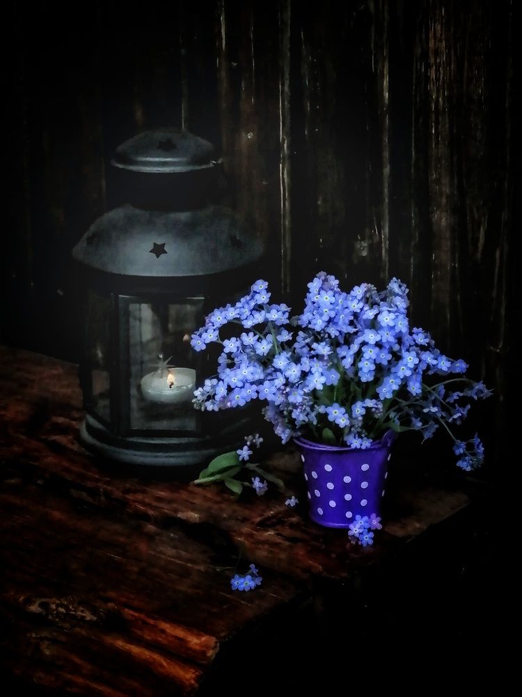 Photograph by Михаил Логвиненко