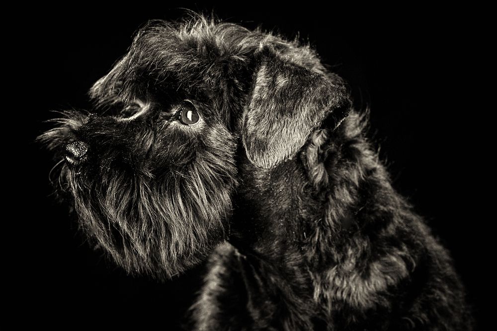 Photograph by Ирина Бобрешова