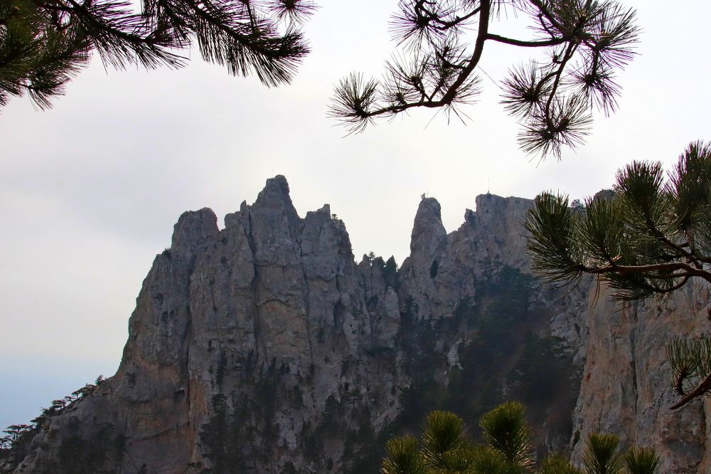 Photograph by Наталья Стальмакова