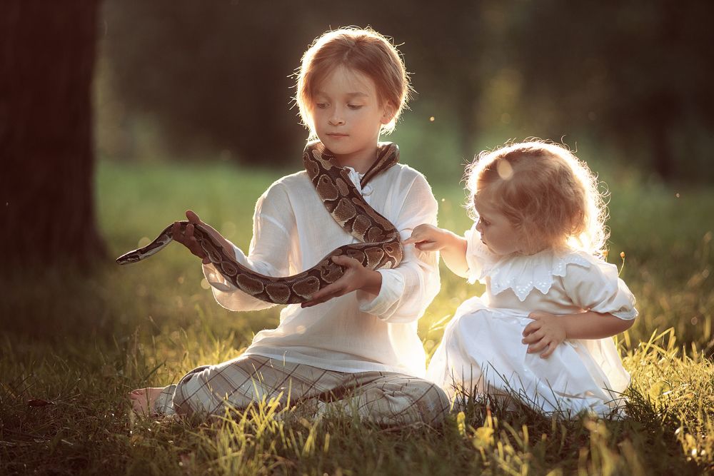 Photograph by Семенова Татьяна