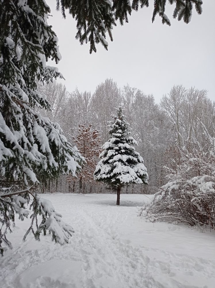 Photograph by Наталья Стальмакова