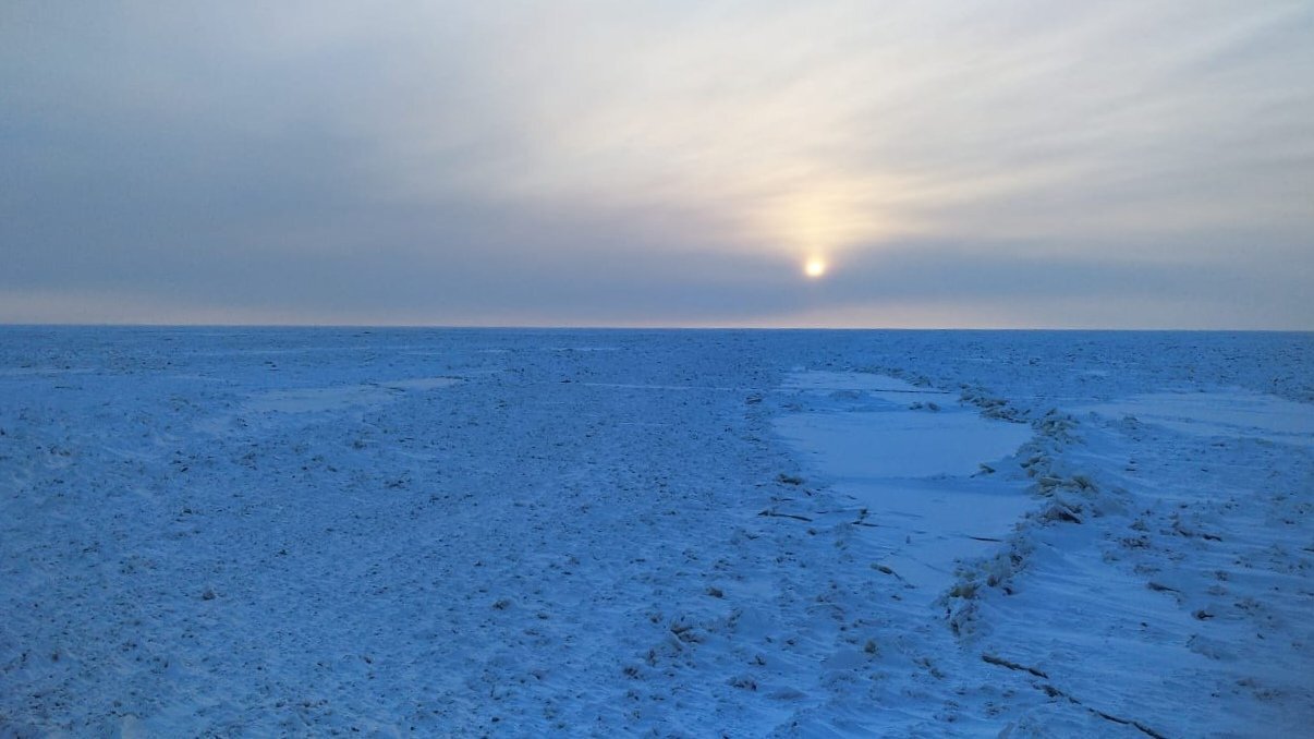 Photo #5687555